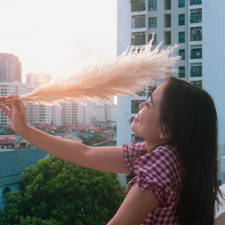 School environment for families in Amsterdam, Netherlands