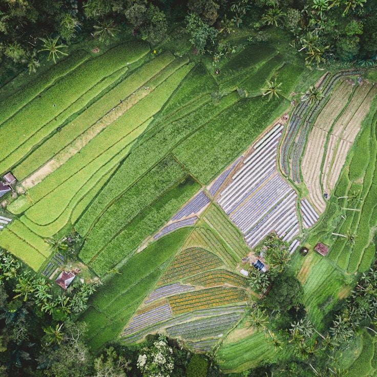 Entertainment zone at night in Netherlands